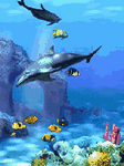 pic for Aquarium 2